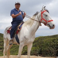 pitambar shrestha