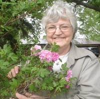 Shirley Amendt