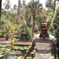 Mohcine El Ouadouari