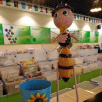 谭晓婵