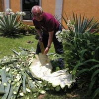 Luis Alberto Chiriboga Nuñez