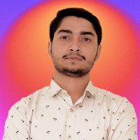 Md Shamim Hossain