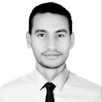 Sayed Abdelaal (Pmp)®
