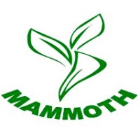 Mammoth Services