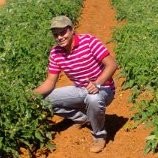 Tancredo Agronomo