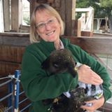 Nancy Krebs