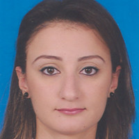 Sarah Amini
