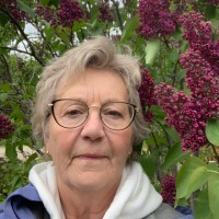 Bev Hutton