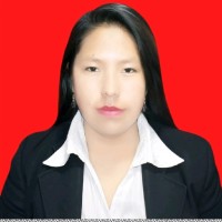 N. Jhoselin Mita Mamani
