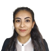 Ana Flavia Balbuena Reyes