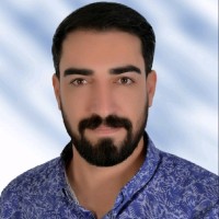 Doğan T.