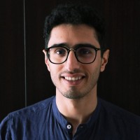 Amin Hassani