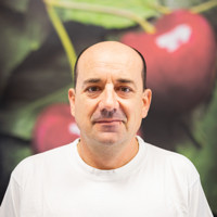 Carlos Badesa Gracia