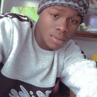 Fallou S