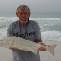 Larry Petersen
