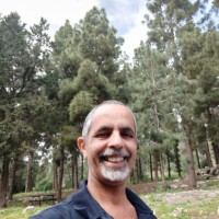 Oren David