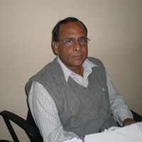 Anjan Maple