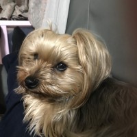 佐藤茂
