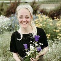 Nele Van Rompaey