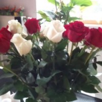 Marie Odile Chatelain