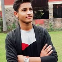 Vikash Paliwal
