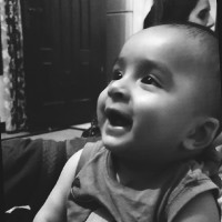 Dr. Bakhtawar Kaneez Fatima