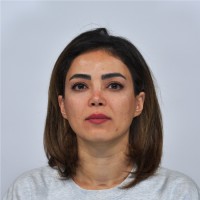 Roshanak Jamalabadi