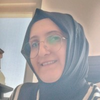 Feride Pala Akbulut