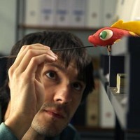 Eduard Puertas Anfruns