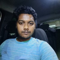 Wakil Ansari