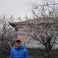 段洪波