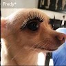Fredy Pacheco