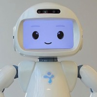 Data Team