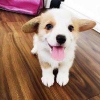 宫蒙蒙