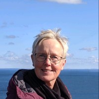 Josefin Shapiro