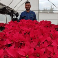 Faustino Jiménez Rodríguez