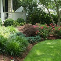 Stopas Landscaping