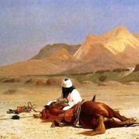 Abdelrahman Shubeilat