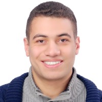 Aser Amr Gabr