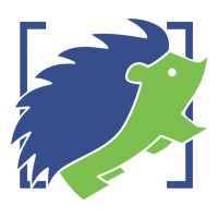 Hedgehogs Hub