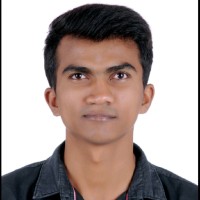 Thippeswamy V N
