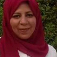 Noha S. Abdelmoty