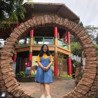 Vionerty T.