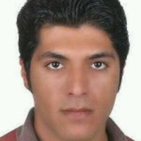 Davood Amraei