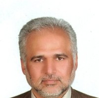 Hesam Ebadi48