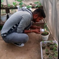 Anil Luthra
