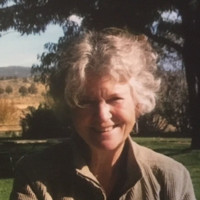 Polly Helm