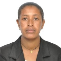 Mulu Abebe