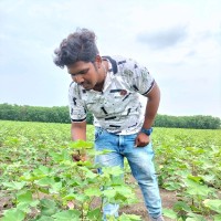 Sampath Kona