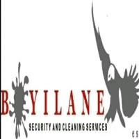 sandile boyilane